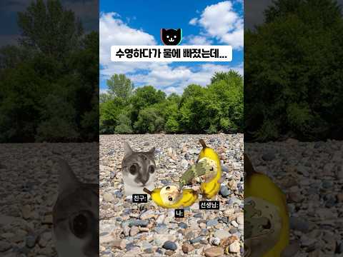 수영하다가 물에 빠졌는데… ㅋㅋㅋ
