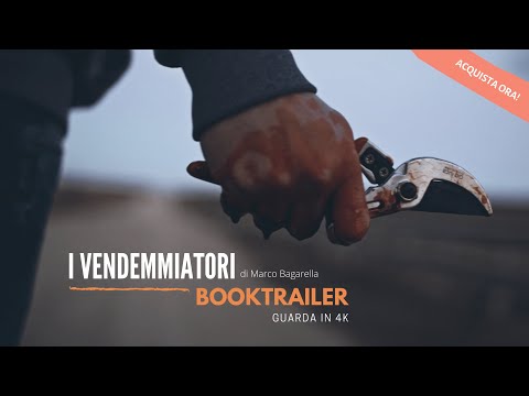 Vito Sugameli Filmmaker