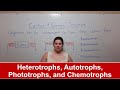 Types of Organisms and Energy Sources