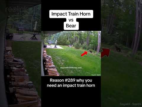Impact Train Horn vs Bear
