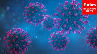 WATCH LIVE: House Select Committee On The Coronavirus Pandemic Holds A Hearing