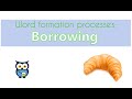 Language Influence and Loan Words