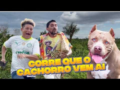 QUEM COMEU O OVO DA COMADRE MARIA