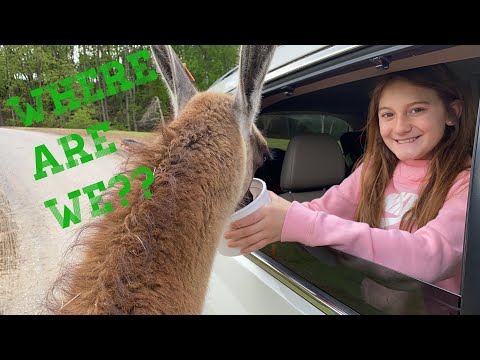 Safari Park Coupon 08 21