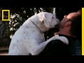 Smart Family Doghouse Project
