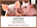 Pig Farming Practices and Benefits