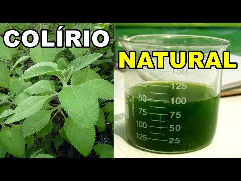Limpa os Olhos, Combate Glaucoma, Catarata, Câimbras e Fortalece o Coração 💖 MARILENE SARAH FIALHO