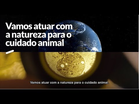Analista de Atendimento ao Cliente Latam I