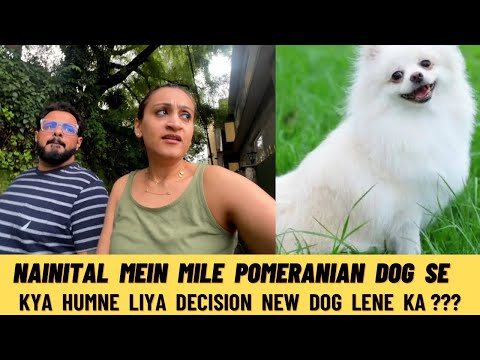Nainital Mein Ek Pomeranian Dog Jojo Ko Milke Humne Liya New Dog Lene Ka Decision