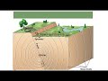 Earthquake and Seismic Wave Concepts