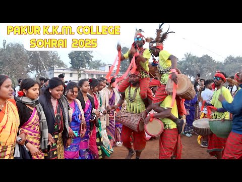 Pakur K K M College Sohrai Porob | New Santali Sohrai Video 2025