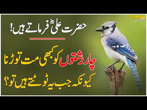 4 Rishtoon Ko Kabhi Mat Torna Warna Hamesha Pachtao Ge | Hazrat Ali (R.A) Ne Farmaya | Zohaib Writes