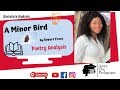 Themes and Analysis of 'A Minor Bird'