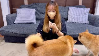 【ご報告】手術が決まりました