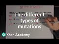 Exploring Types of Genetic Mutations