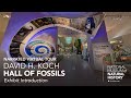 Fossil Exhibit Knowledge Assessment