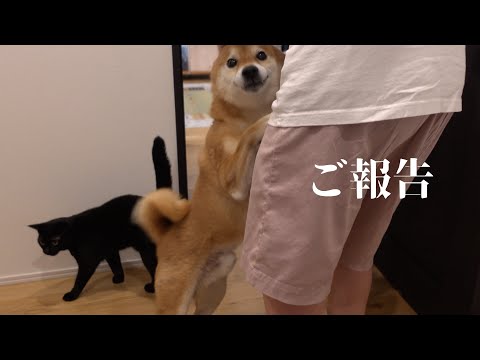 【ご報告】Qパパの手術に関して。本当にありがとうございました。