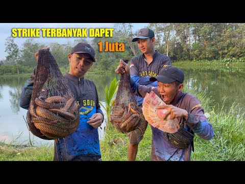 MANCING BELUT TERBANYAK HADIAH Rp.1.000.000