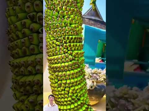 Buồng chuối khủng - Huge bunch of bananas #amazing #satisfying