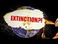 Mass Extinction and Biodiversity Loss