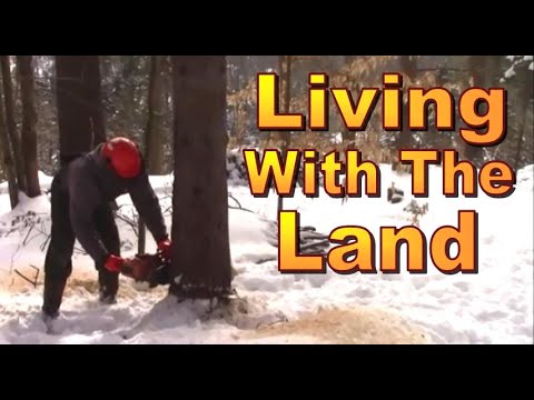 Homesteading Ways. Simple Pleasures of Land Stewardship and  Living in the Woods.