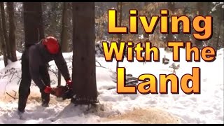 Homesteading Ways. Simple Pleasures of Land Stewardship and  Living in the Woods.