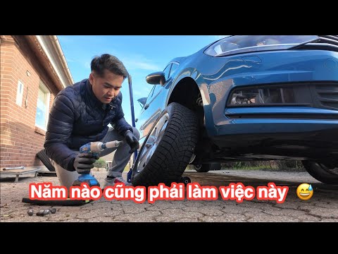 Ai ở Đan Mạch đều phải làm việc này mỗi năm 2 lần...