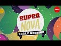 Supernova Detection and Characteristics