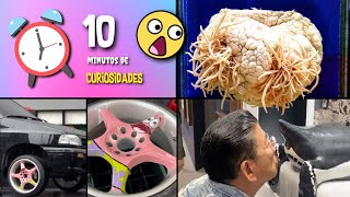 30 COISAS QUE VOCÊ NÃO SABIA EM 10 MINUTOS 🌍✨ [236]