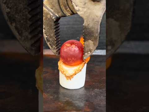 Can Anything Survive This Heat #science #factbuildo #sciencefacts
