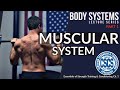 Muscle Physiology and Contraction Concepts