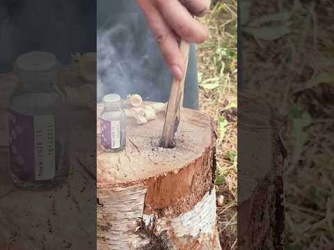 Survival Skills: Chemical Reaction that could SAVE your Life! #survival #camping #fire #permanganate