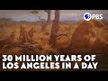 Exploring Los Angeles' Natural History