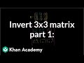Matrix Minors and Cofactors