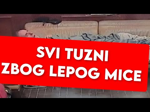 SVI TUZNI ZBOG LEPOG MICE, JAVILI SAD