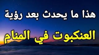 تفسير حلم رؤية العنكبوت في المنام للعزباء،المتزوجة،المطلقة،الرجل 