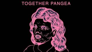 together PANGEA Accords
