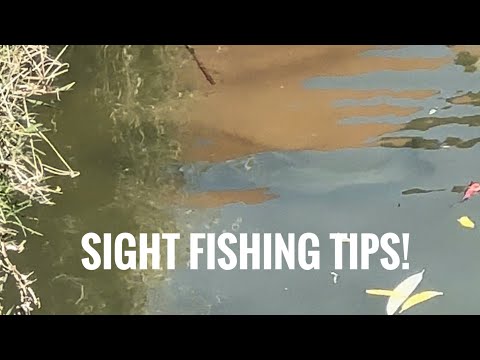 Sight Fishing Tips!