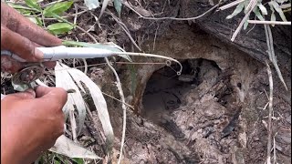 Lubang Di Tanah Wadas Menjadi Tempat Peristirahatan Para Kanibal Tanah
