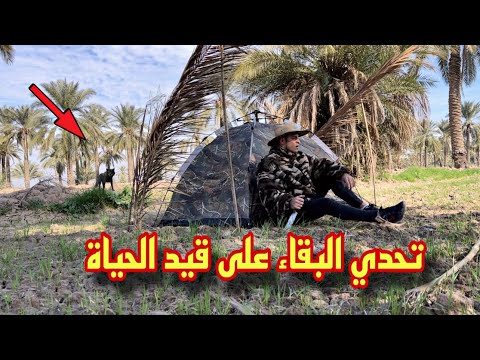 تحدي البقاء في البرية (دون اكل ولا ماء )  Green24 Survival Challenge ⛺️
