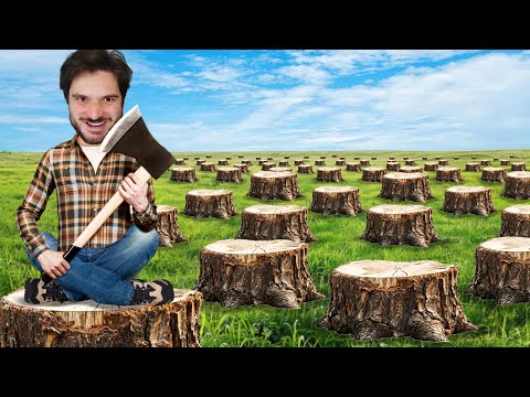 EU DESTRUÍ 1000 ÁRVORES PRA FAZER ESSE VÍDEO! (eu sei isso é horrível não repitam isso em casa)