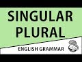 Exploring Singular and Plural Nouns