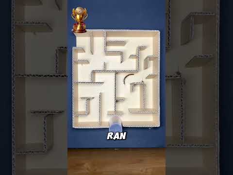 cockroach vs centipede who escape