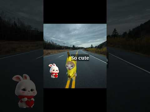 Banana cat found hoppi hoppi cat on the street #shorts #happycats #trend