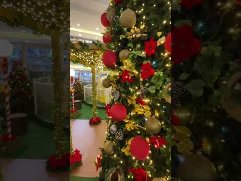 Ela Sumiu na árvore de Natal🚫🙅🏻♀️❤️😂👧🏻💥🚀🌈✅
