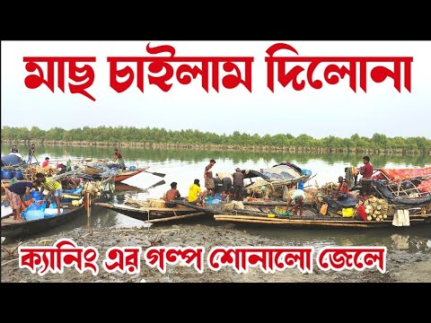 সুন্দরবন জঙ্গল থেকে মাছ ধরে নিয়ে/ক্যানিং খটিতে বিক্রি করার জন্য  ফেরিঘাট এসে দাঁড়ালো মাঝিরা