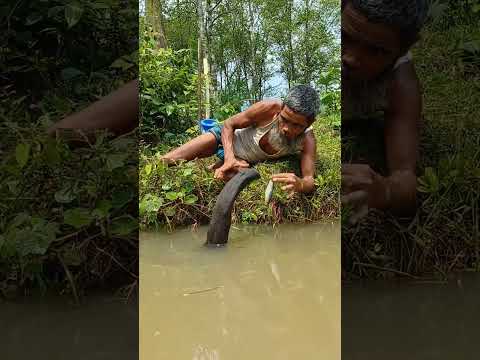 wonderful sneak video #funny #funnyclip #fishing