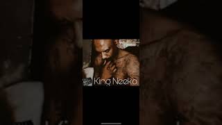 King Neeko -Perfume (official Audio Track from LA County Jail)