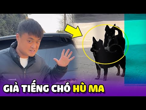 Chàng trai giả tiếng chó để Hù Ma 2 "Chú Chó" từng cắn mình 😂