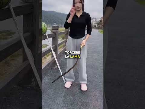 3 cose da non fare con la katana